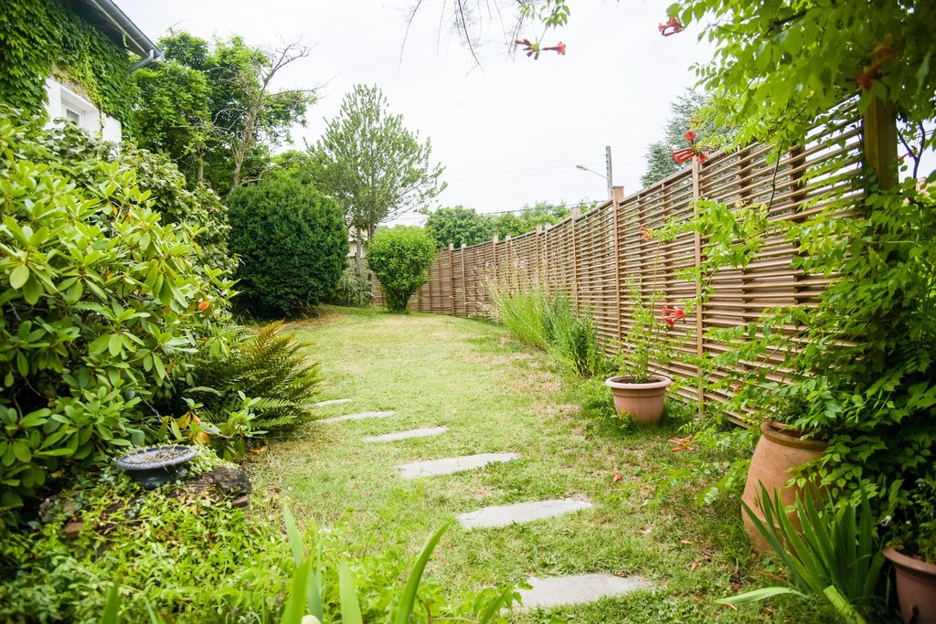 entretien jardinage rosiers et fleurs