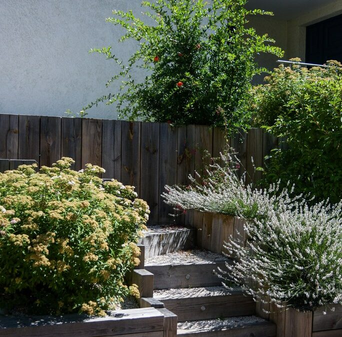 escalier verdure