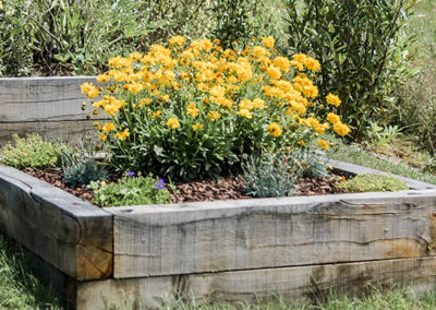 accès d'un jardin en pentecarrés potagers - DARDILLY