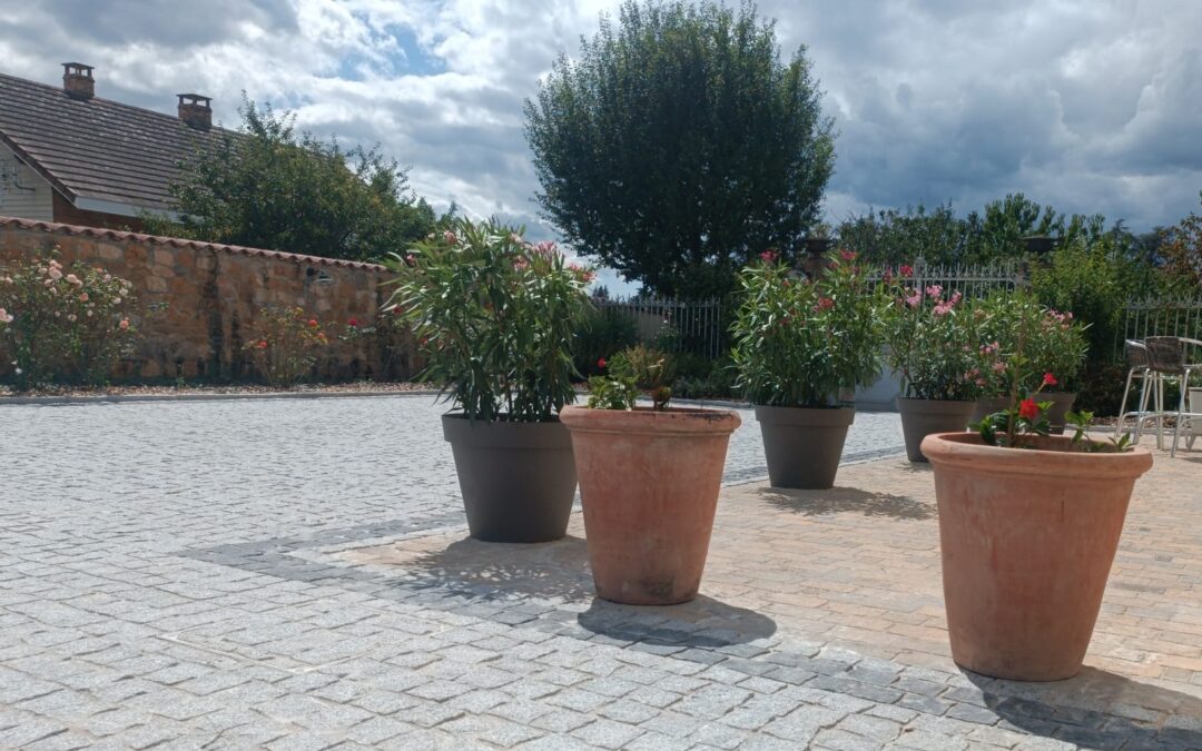 AmĂ©nagement d’une allĂ©e en pavĂ©s Ă St Didier au Mont d’Or