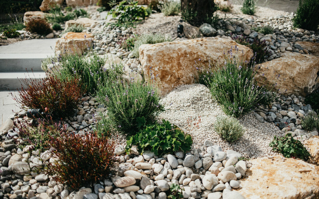 La création de massifs et de plantations : l’art d’embellir votre jardin