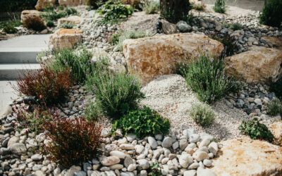 La création de massifs et de plantations : l’art d’embellir votre jardin