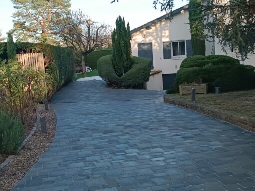 Rénovation d’une allée en pavés