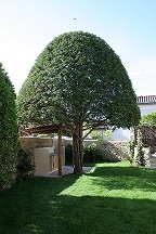piscine terrasse bois