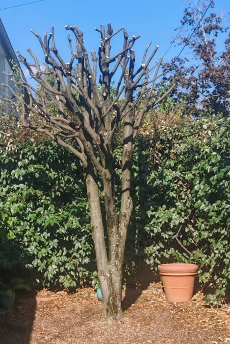 sol de terrasse